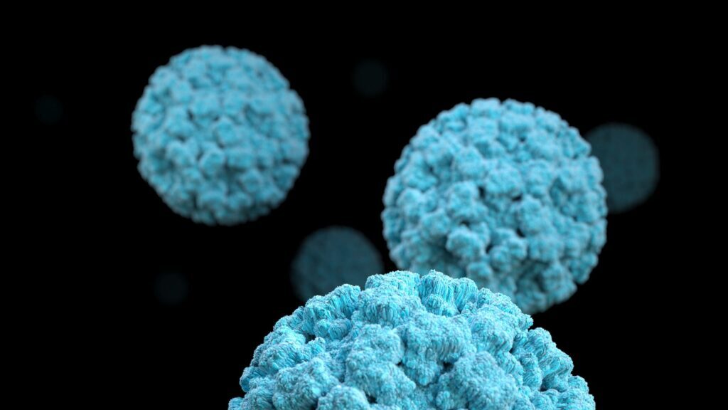 Norovirus levels are at their highest in a decade